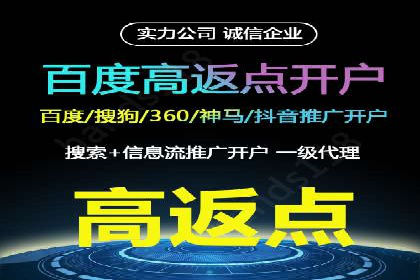 百度竞价推广成功案例解析