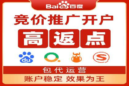 百度竞价广告投放策略：案例分析及效果评估